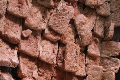 Đậu hũ để ba ngày không hỏng